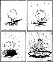 calvin-rain